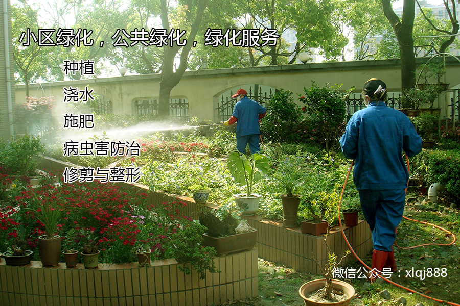 小區(qū)綠化，公共綠化，綠化服務(wù)